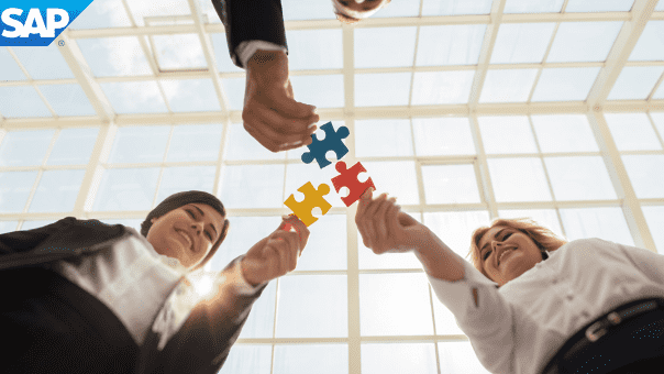 sap puzzle sap puzzle